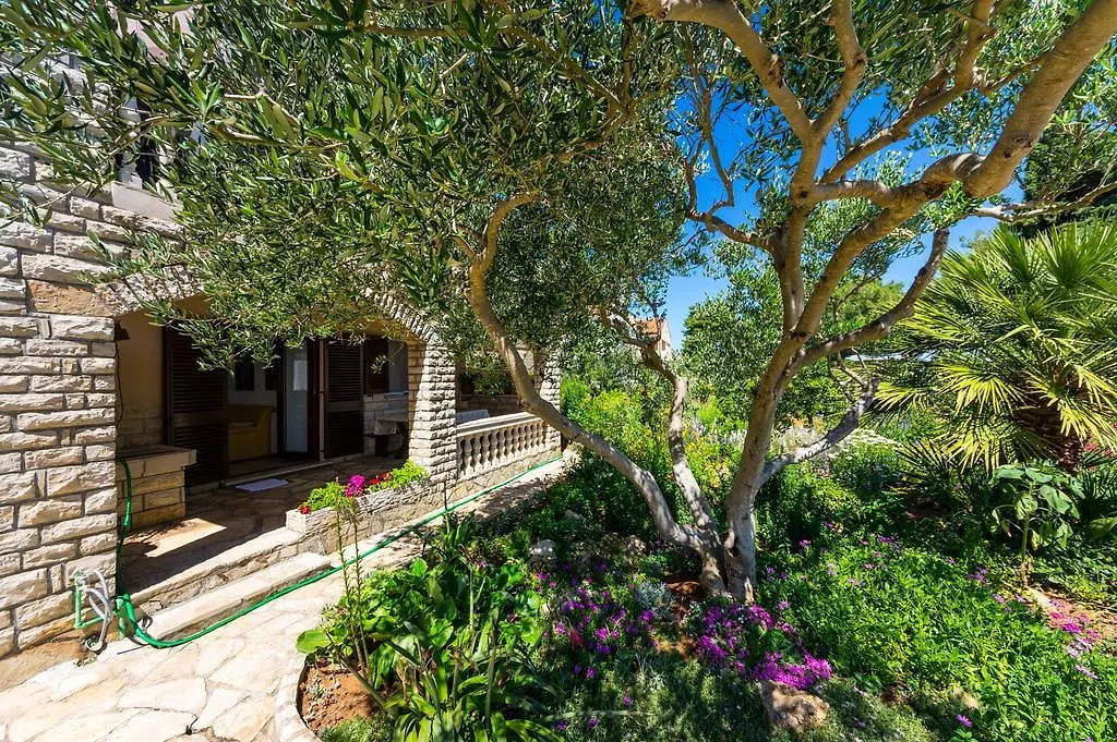 Apartments Katina Tkon
